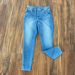 AEO The Dream Jean Curvy Hi-Rise Jegging 10R